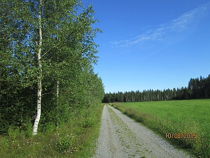 フィンランドの田舎の道